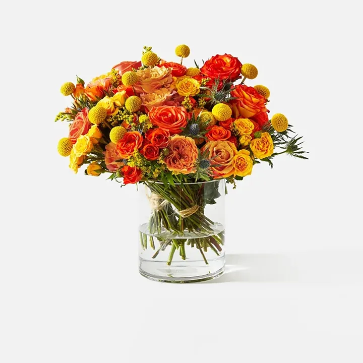 Blazing Blossom