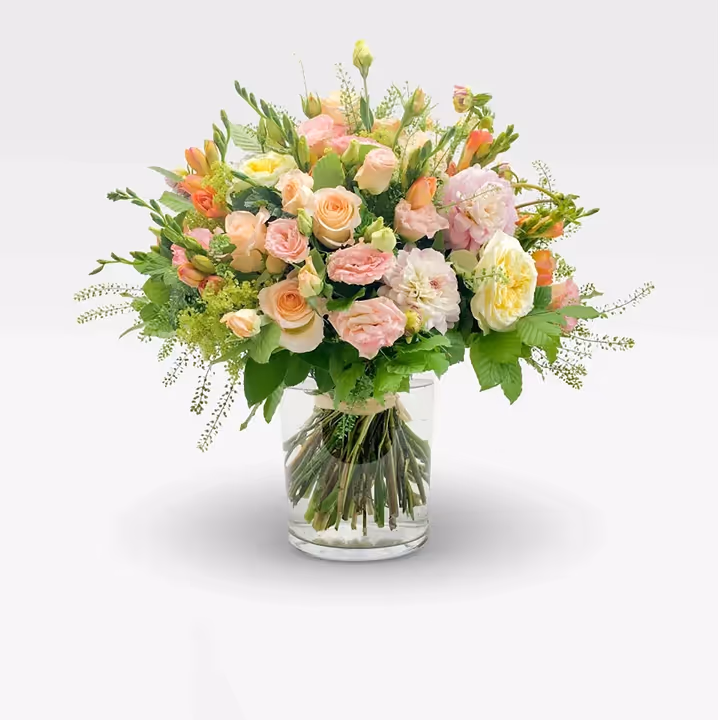 Dawns Delight